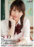 正統派美少女 大沢美加 SOD Premium Collection