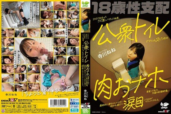 SNSで出会ったクズ男にハマった結果、公衆トイレでさくっとヌくための肉おナホ要員にされた18歳の記録映像。最終的に都合のいいように扱われ続けて涙目になるまでマワしつくされる。 寺川ねね